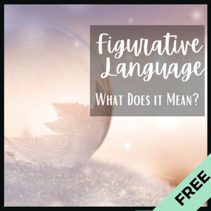 Winter – Figurative Language Freebie
