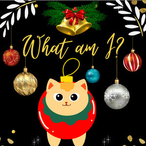 Christmas – What Am I?