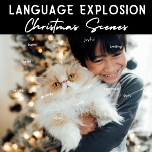Language Explosion – Christmas Scenes