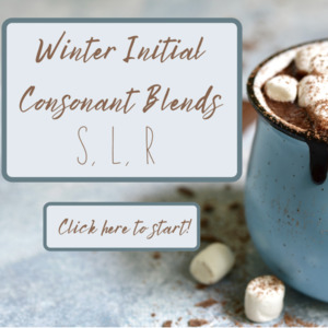 Winter Treats with Initial S,L,R, Blends