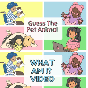 Guess The Pet Animal – What Am I? Video Interactive