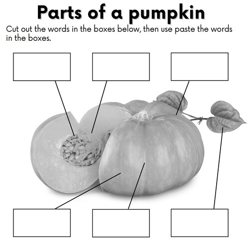 All About Pumpkins Printables Printable